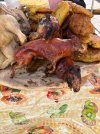 IMG_0737.jpeg