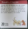 IMG_5836.jpeg