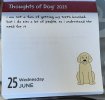 IMG_5845.jpeg