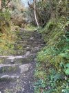 IMG_0906.jpeg