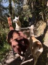 IMG_1160.jpeg
