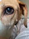IMG_5826.jpeg