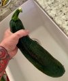 IMG_5116.jpeg