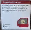 IMG_5858.jpeg