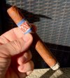 IMG_5135.jpeg