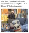 IMG_5072.jpeg