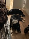 IMG_5874.jpeg