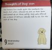 IMG_5877.jpeg