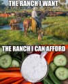 IMG_6573.jpeg