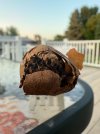 IMG_8189.jpeg
