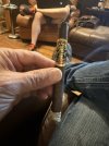 IMG_1555.jpeg