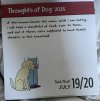 IMG_5896.jpeg