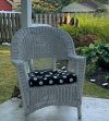 IMG_1719.jpeg