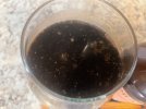 IMG_9281.jpeg