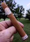 Undercrown Shade.jpg