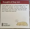 IMG_5944.jpeg