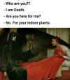 1754827316641.png