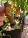 IMG_1599.jpeg