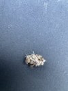 IMG_7638.jpeg