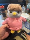 IMG_7929.jpeg