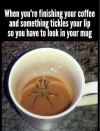 1000001251.png