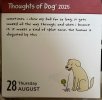 IMG_6022.jpeg