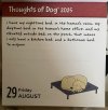 IMG_6023.jpeg