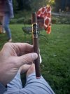 IMG_3160.jpeg