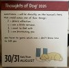 IMG_6024.jpeg