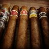 tropicalstogieparadise456