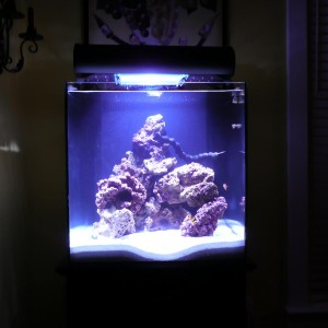 aquarium