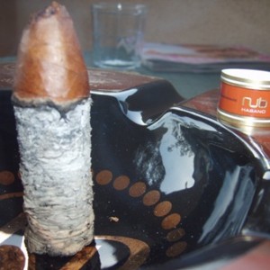 Oliva Nub Review