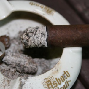Hoyo Dark Sumatra