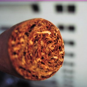 H Upmann