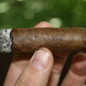 Perdomo Reserve Cameroon