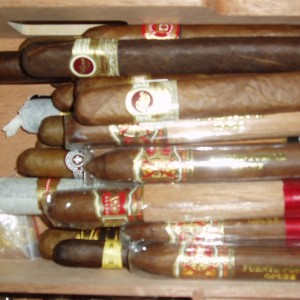 Gars!