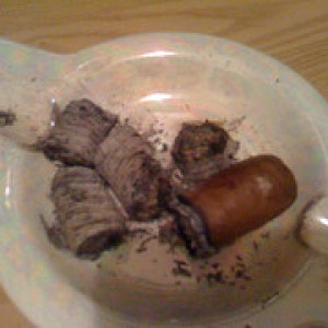 H. Upmann Magnum 50