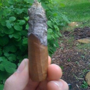 Camacho Havana