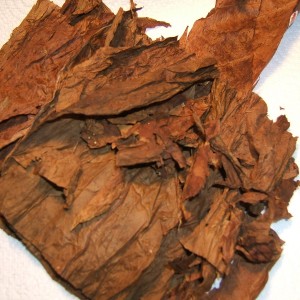 Cubans