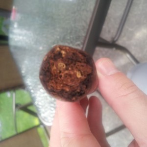 blind cigar review