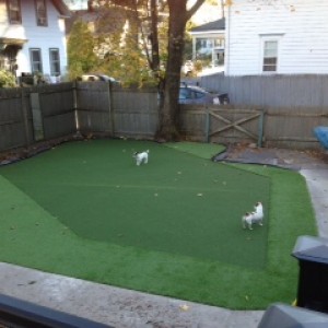 putting green