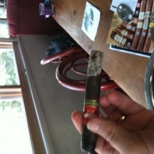 Ortega D vs the Bat