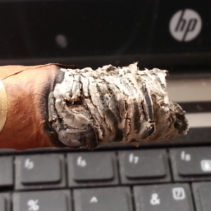 H. Upmann Coronas Junior