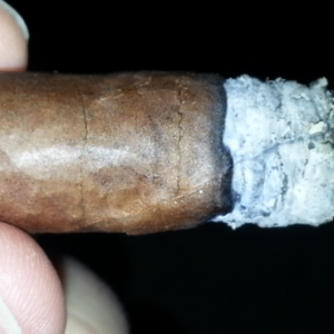 Hoyo De Monterrey EL 2007