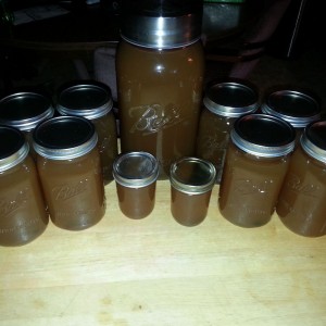 Miscellaneous