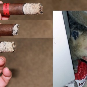 Tatuaje Jason