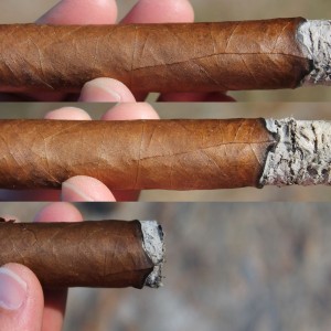 04-21-14 Gary's Mystery Stick