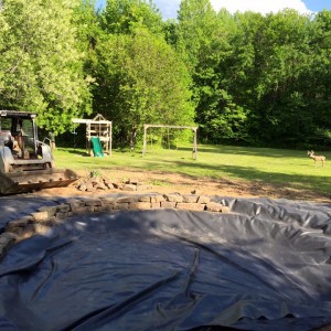 Koi Pond 2015