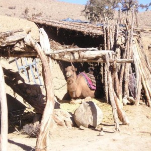 Communities and Kids