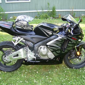 05' CBR600RR Tribal